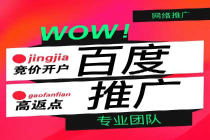 百度优化推广案例：如何利用百度广告投放